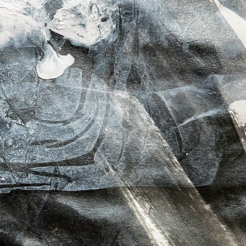 Comparative Anatomy EP — TREAT001